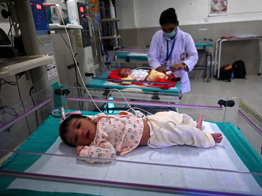 The population of Earth will hit 8 billion on Nov. 15, according to predictions by the United Nations Population Fund. And next year, India is expected to surpass China as the most populous country. In this photo, taken on Oct. 13, newborn babies rest inside a newborn care unit at a hospital in Amritsar.
