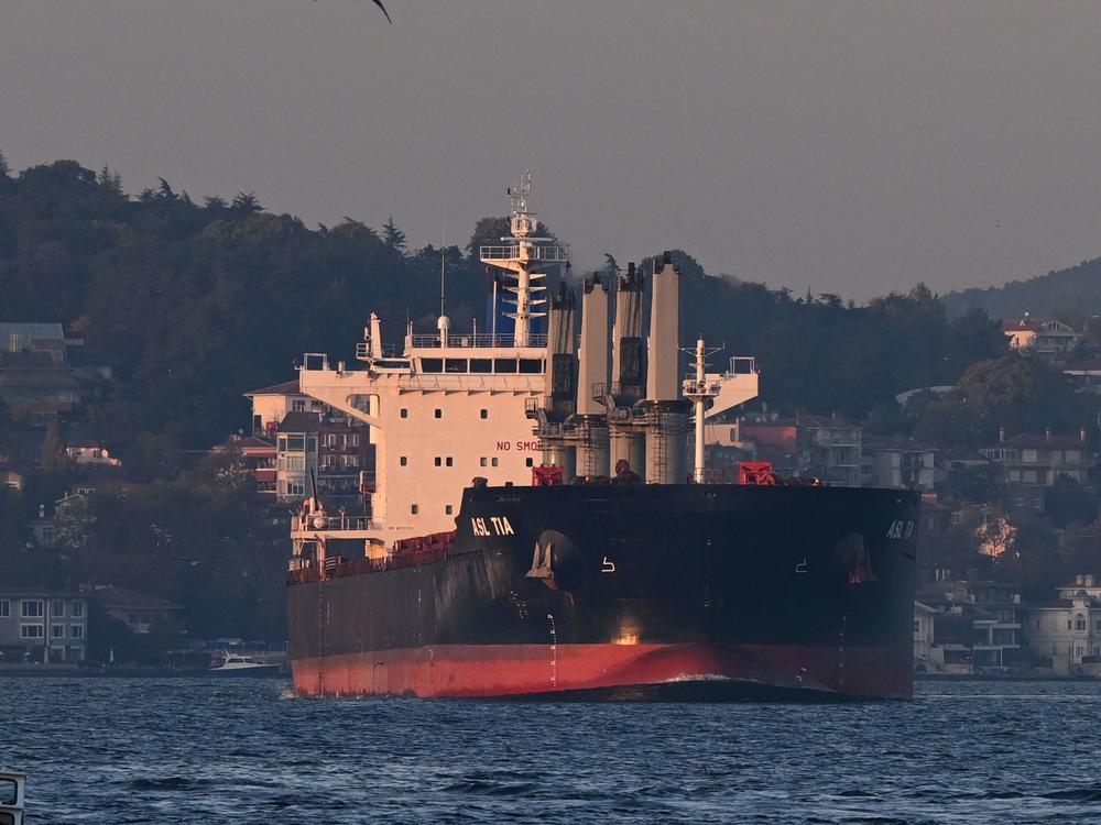 Asl Tia, a cargo vessel carrying Ukrainian grain, sails on Bosporus to Marmara sea, in Istanbul, on Nov. 2.