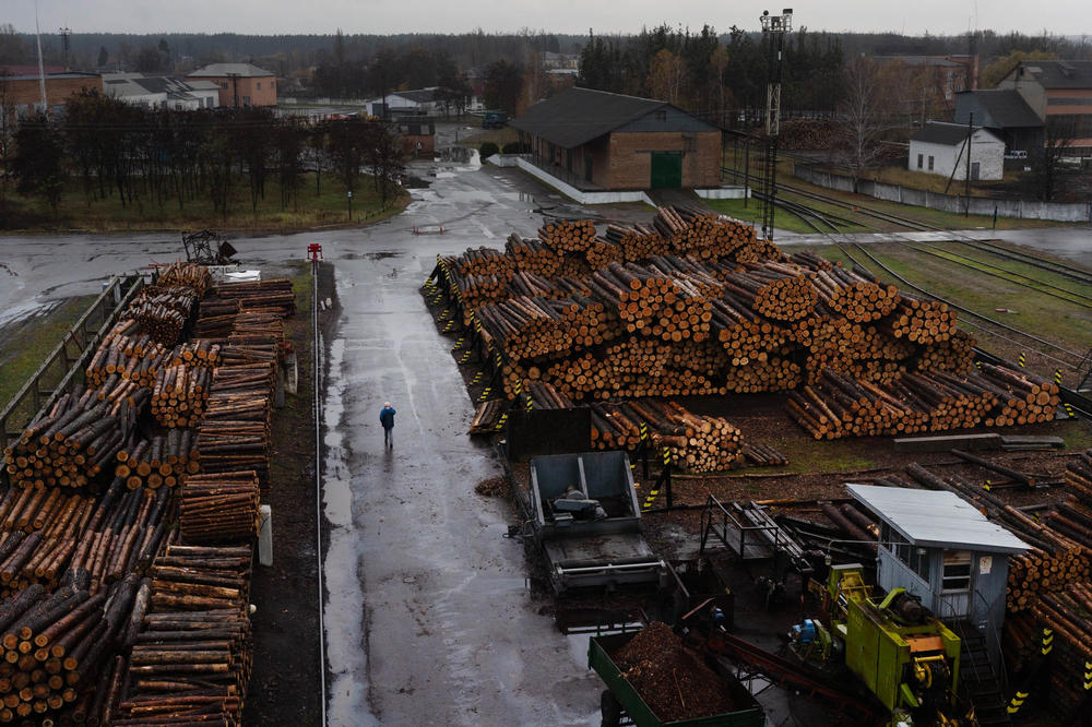 A state-run forestry operation near Zhytomyr collecting firewood for delivery to impacted areas.