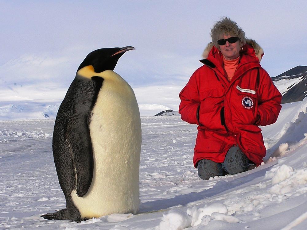 Susan MacGregor with an Emperor penguin in Antarctica
