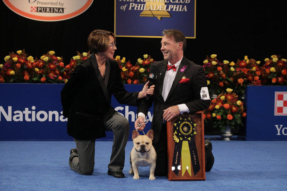 NBC's Mary Carillo (left) talks to Perry Payson, handler of Winston the French bulldog, the 2022 National Dog Show Best In Show Winner.