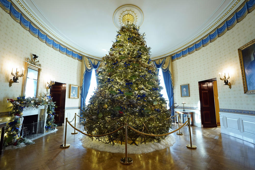 The White House Christmas tree is on display in the Blue Room of the White House. According to the White House, the room's chandelier is removed every year to accommodate the Christmas tree's full height.