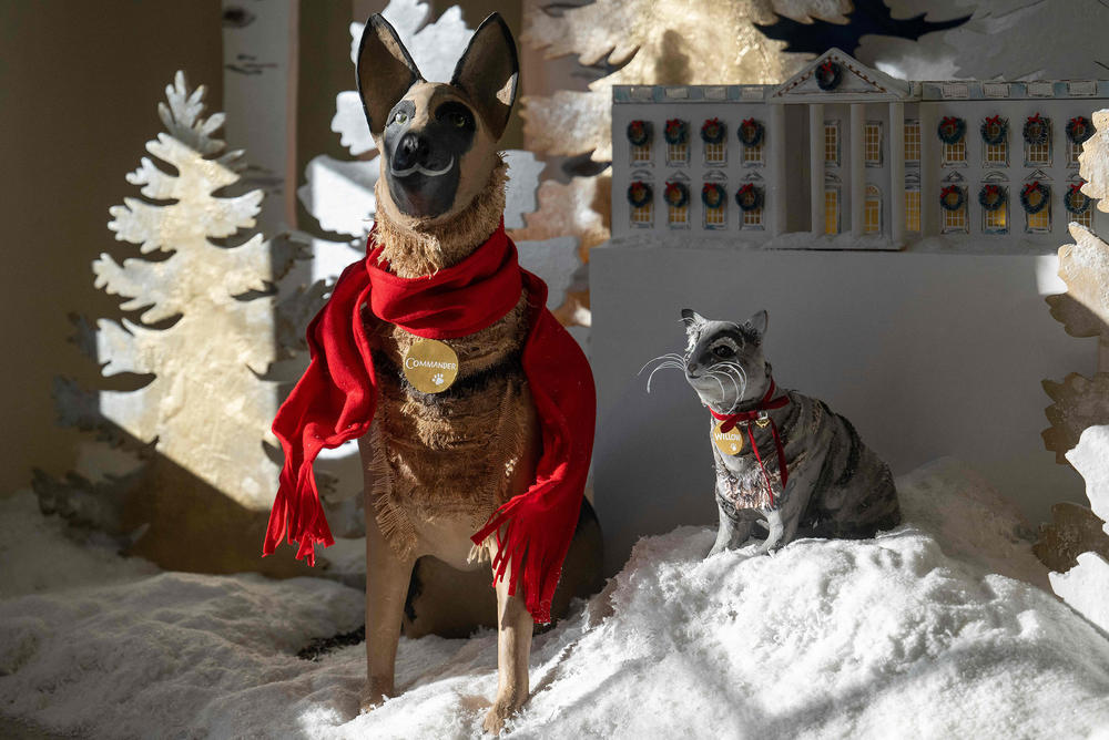 President Biden's dog Commander and cat Willow are displayed in various parts of the White House Christmas decor.