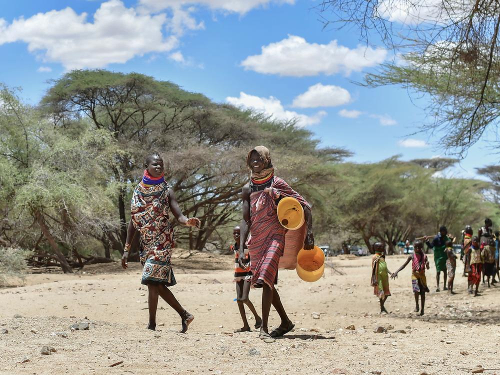 Numerous failed rainy seasons in the Horn of Africa have decimated crops and livestock, leading to a crisis of hunger.