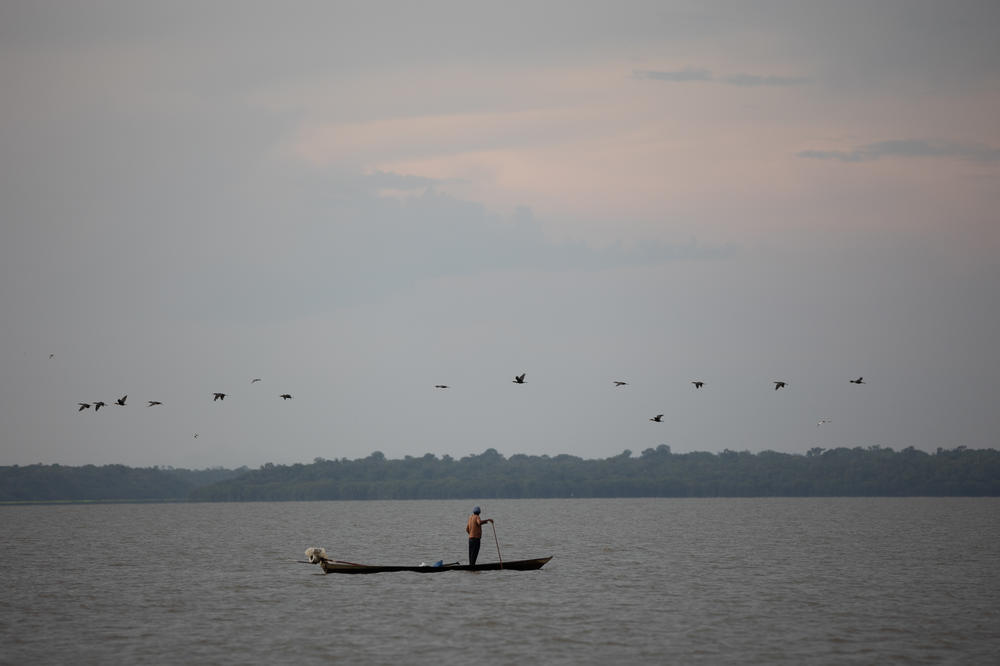 A riverside fisherman in his canoe on Lake Amanã on Nov. 15.
