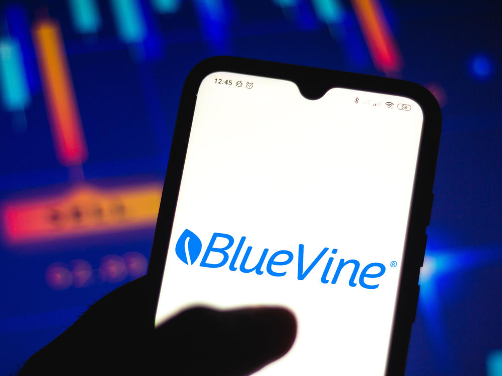 A congressional report found financial technology companies, or fintechs, largely fueled PPP loan fraud. Bluevine, a fintech noted in the report, told NPR it adapted to threats of fraud better than other companies mentioned.