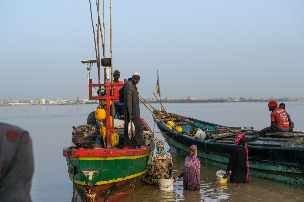 A fish market in Guet Ndar, Senegal.