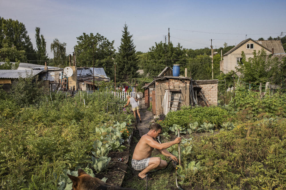 Elena Dyachkova and Aleksander Dokalenko garden in their backyard in old Avdiivka in July 2018. They often found bullets and shrapnel among their tomato and cucumber beds.