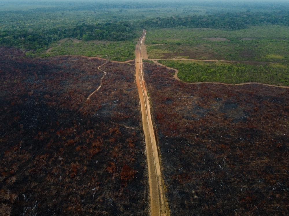 An aerial view of a deforested area of the Amazonia rainforest in Brazil this year.