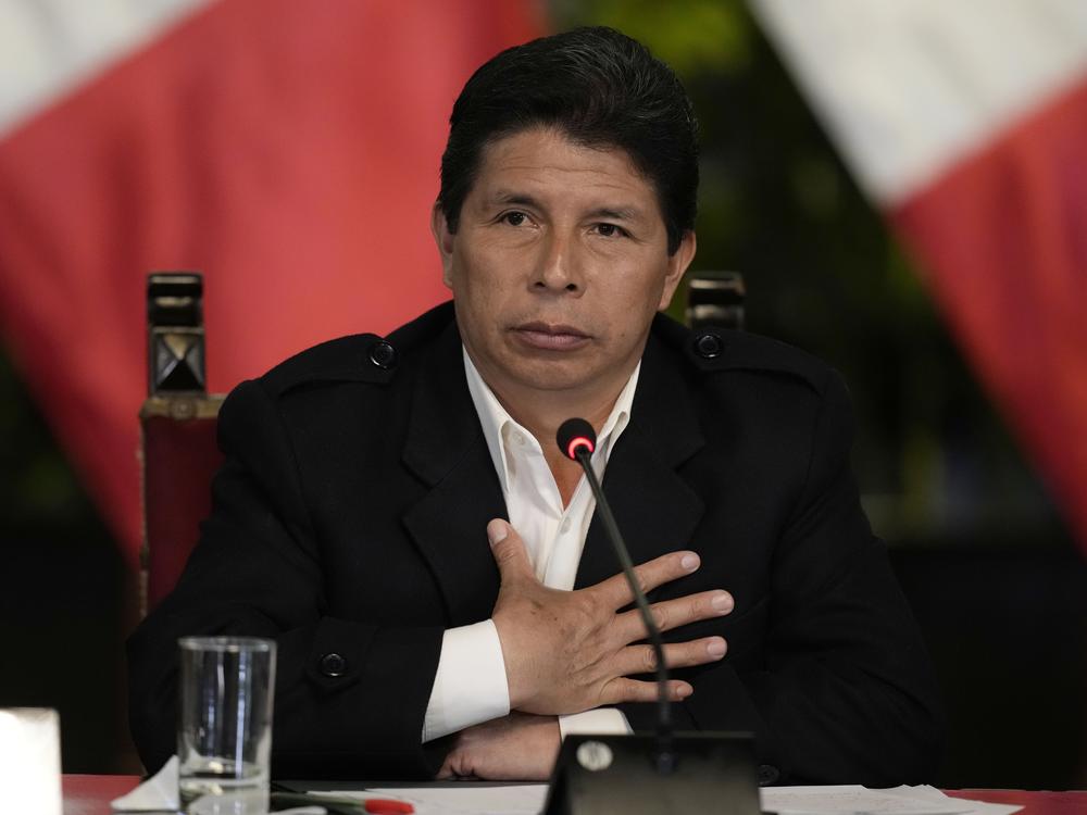 Peruvian President Pedro Castillo gives a news conference at the presidential palace in Lima on Oct. 11.