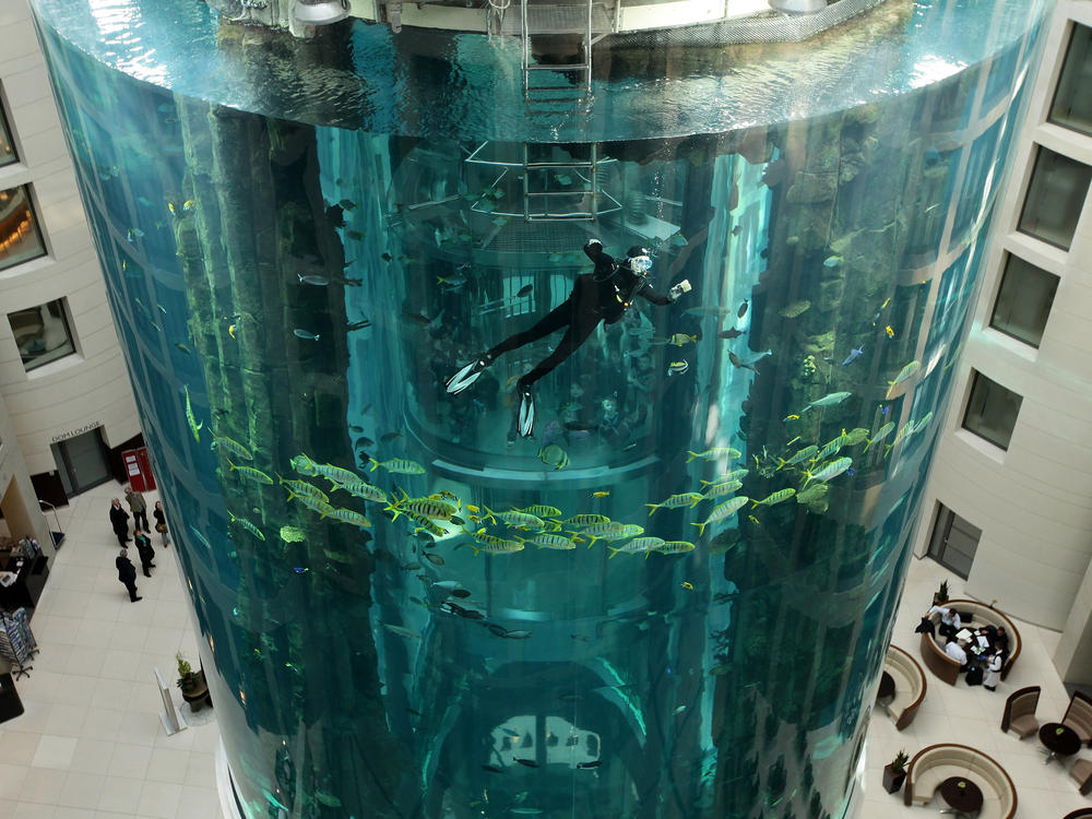 In a file photo, a diver cleans the glass of the giant cylindrical aquarium known as the AquaDom in Berlin, Germany. The massive aquarium burst on Friday.