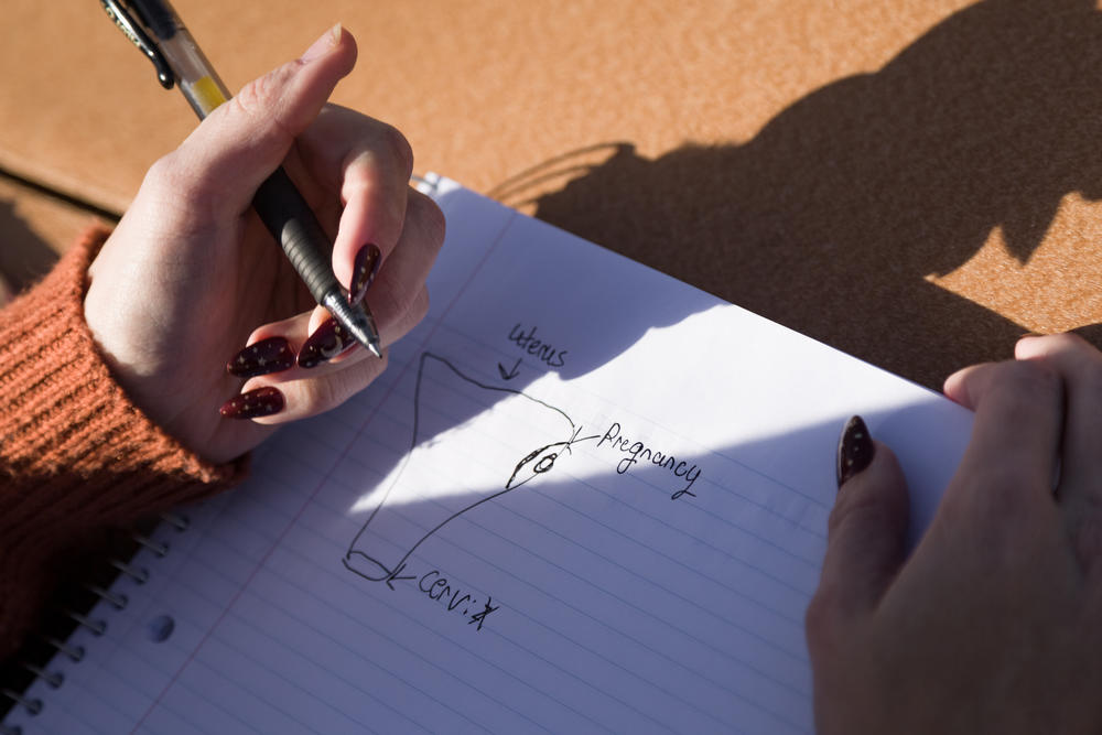 Lauren Overman demonstrates sketches she uses to depict abortion when working with clients as an abortion doula. She sometimes works virtually from this picnic table, which is close to her home outside of Greensboro, N.C.