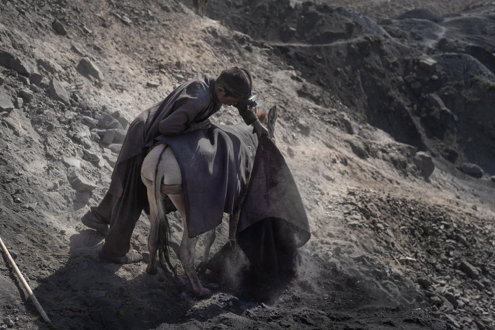 A boy unloads a bag from the back of a donkey after coming out of a mine.