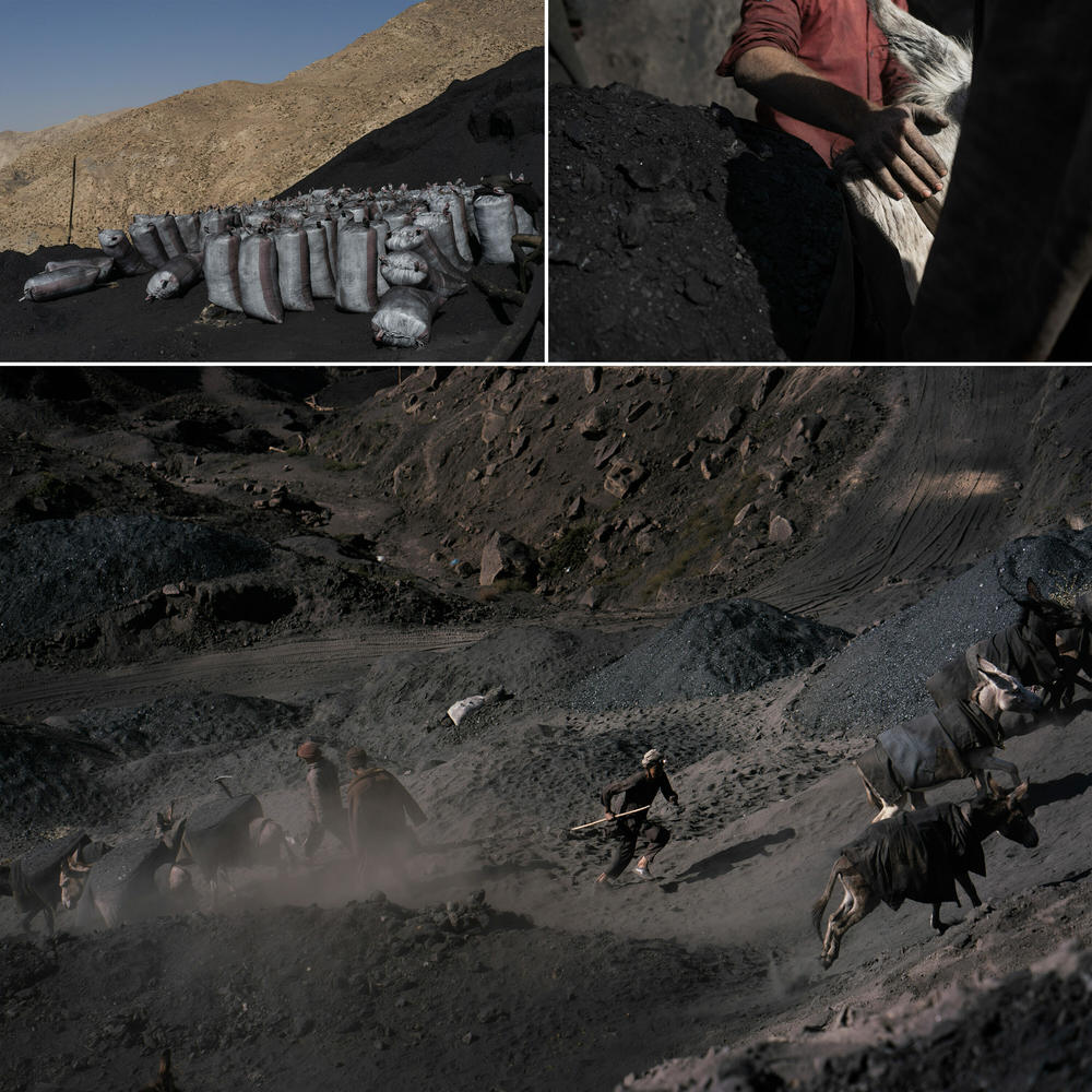 Top left: Bags of coal ready to be loaded onto trucks. Top right: A boy puts a guiding hand on the neck of a coal-laden donkey. Bottom: A man runs, urging donkeys to quicken their pace up the hill to a mine entrance.