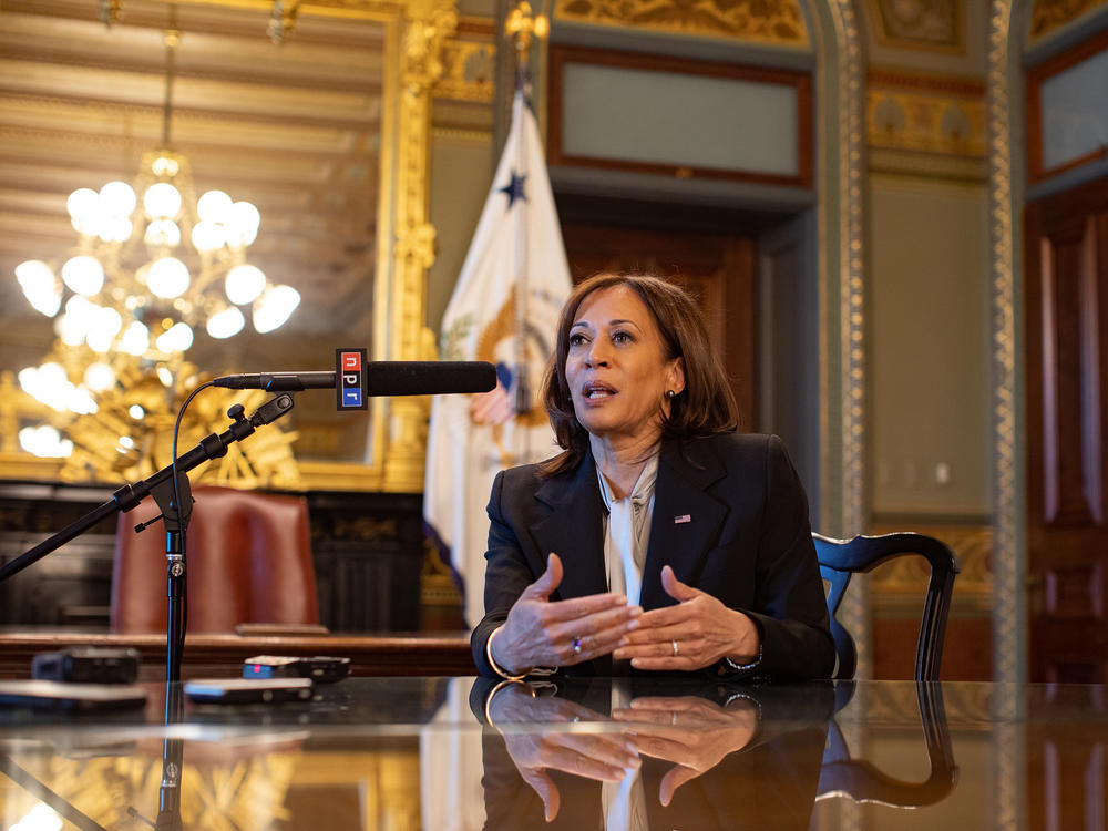 Vice President Harris told NPR in an interview Monday that the administration plans to add more resources to the southern border when Title 42 migration restrictions end.