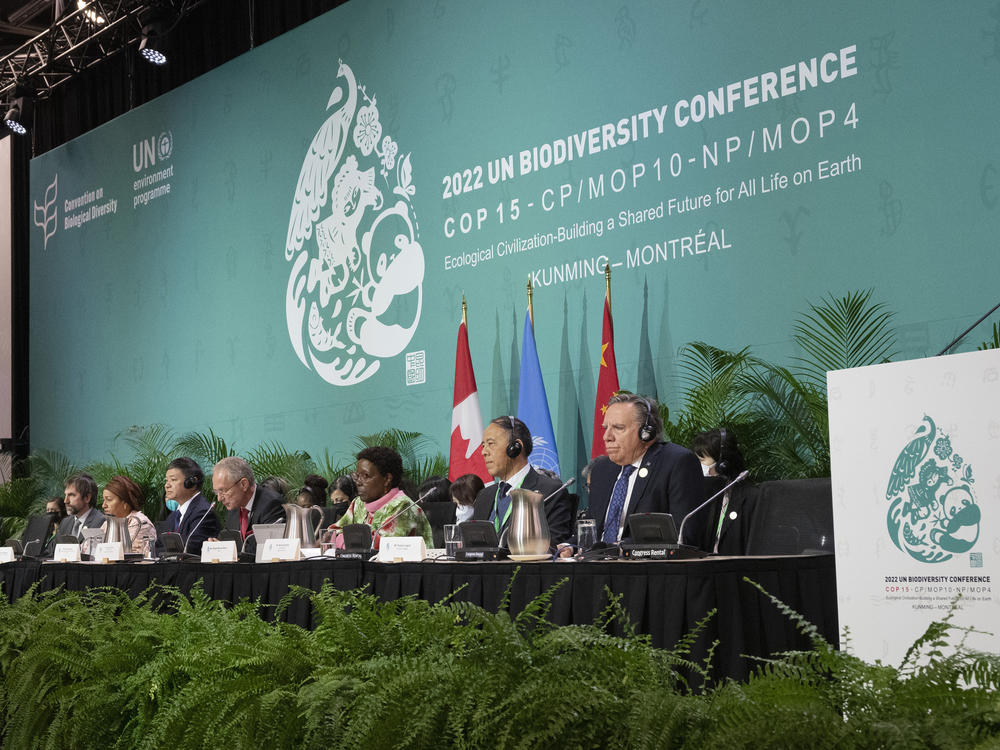 The head table gets set to open the high level segment at the COP15 biodiversity conference in Montreal on Dec. 15, 2022.