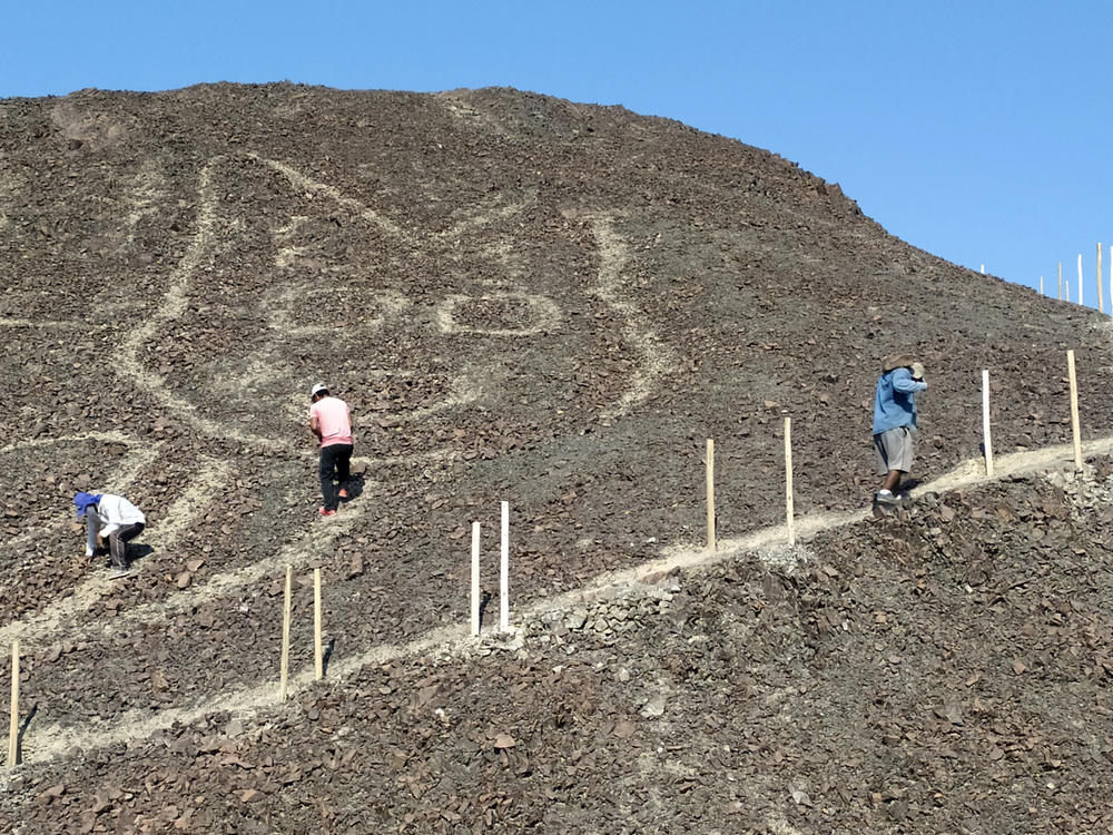 This handout photo provided by Peru's Ministry of Culture-Nasca-Palpa shows a feline figure on a hillside in Nazca, Peru, on Oct. 9, 2020.