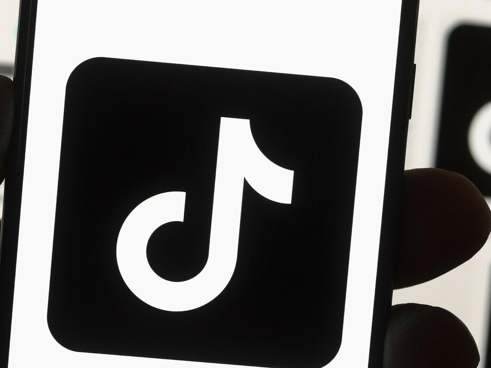 TikTok would be banned from most U.S. government devices under a government spending bill Congress unveiled early Tuesday, the latest push by American lawmakers against the Chinese-owned social media app.