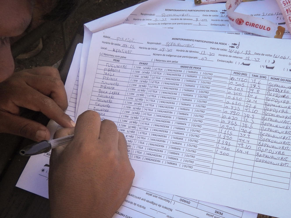 A Mebêngôkre Kayapó monitor records data about the fish caught in his village — part of an ongoing effort to assess the impact of illegal mining on local fish populations.