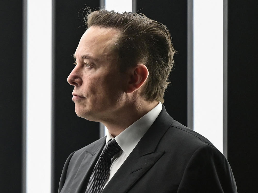 Nothing this year brought home the dangers in private ownership of major social media platforms more than the capricious, often-destructive and regularly unpredictable actions of Twitter CEO Elon Musk. He is pictured above at Tesla's 