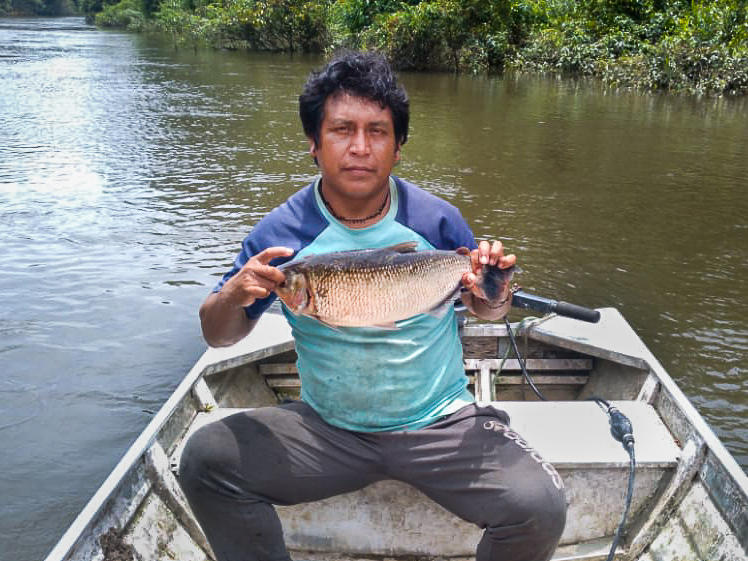 Takakudjyti Kayapó, better known as Takakre, holds up a <em>matrinxã</em> fish. A community fishing monitor, he will measure and weigh the fish before recording its details in a spreadsheet to be sent to other members of the team studying how the mercury used in illegal mining is affecting fish populations in the Pixaxá River.