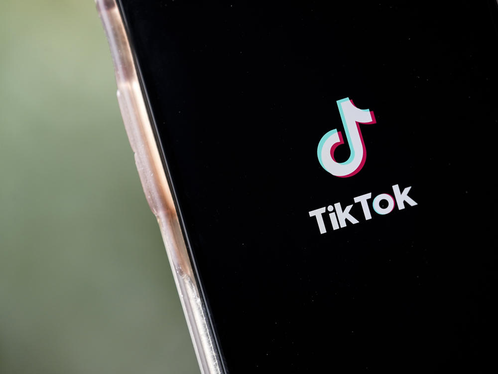 Bans on the social media app TikTok are beginning to gain momentum in Washington and several states. Experts say there's not much solid evidence that TikTok poses a national security threat.