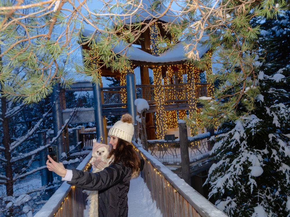 Kris Ruby and her dog Ezra enjoy the holiday lights displayed at the Wild Center in the Adirondack Mountains in Tupper Lake, NY.