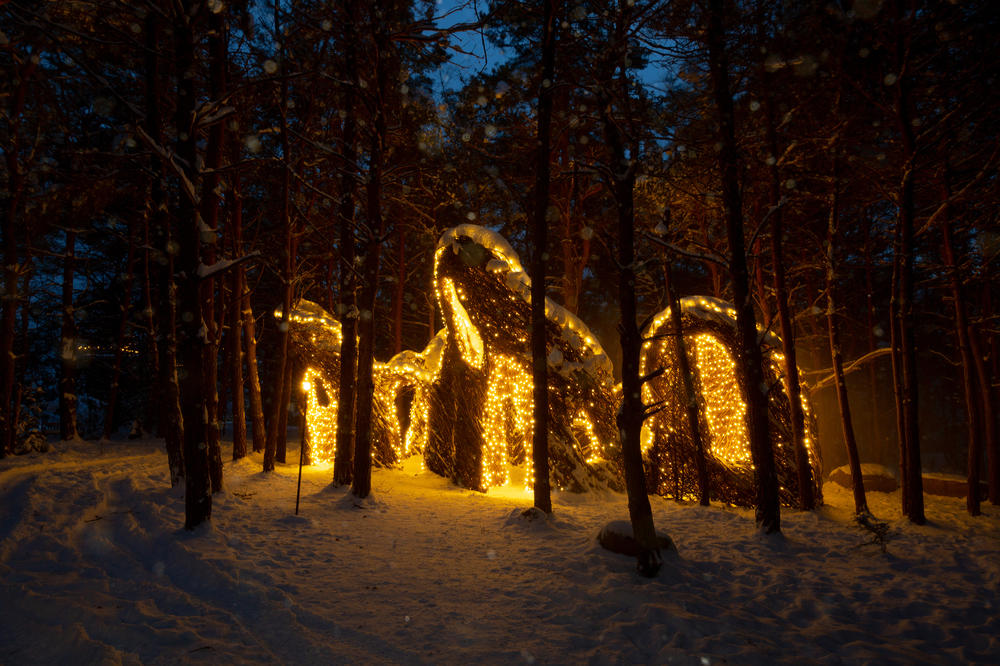 Holiday lights displayed at the Wild Center in the Adirondack Mountains in Tupper Lake, NY.
