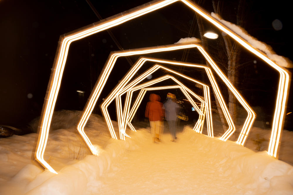 Holiday lights displayed at the Wild Center in the Adirondack Mountains in Tupper Lake, NY.