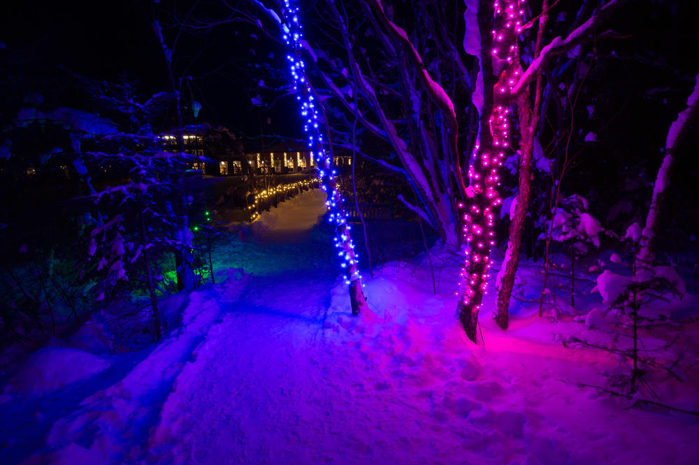 Holiday lights displayed at the Wild Center in the Adirondack Mountains in Tupper Lake, NY.