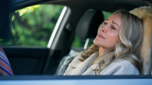 Sharon Stone as Lisa Bowden in <em>The Flight Attendant</em>