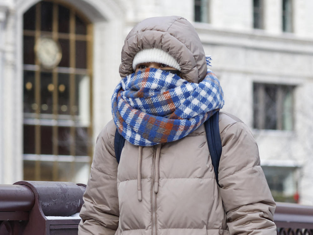 A woman walks along Chicago's Michigan Avenue as she braves Friday's frigid weather.