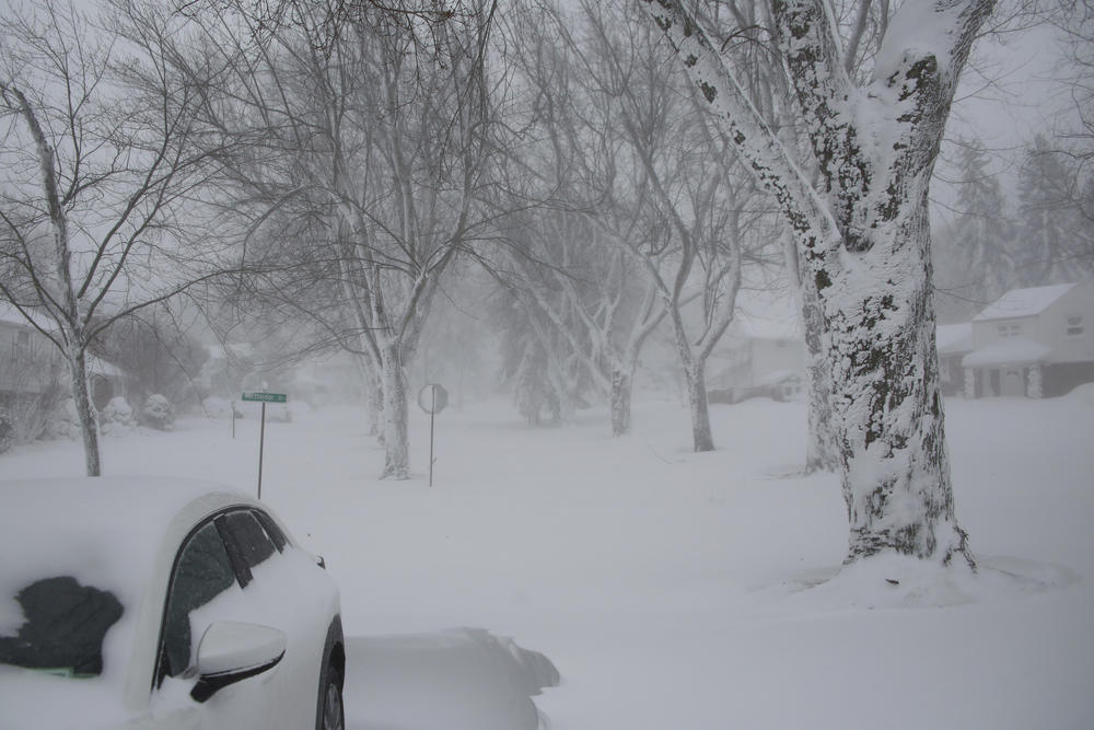 A winter storm rolls through Western New York on Saturday, Dec. 24, 2022, in Amherst, N.Y.