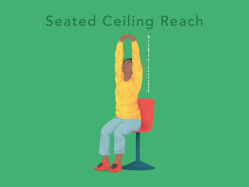 <strong>Seated Ceiling Reach: </strong>Clasp your hands together above your head with your palms facing up toward the ceiling. Push your arms up, stretching upward. Hold this stretch for 10–15 seconds while taking deep breaths. Perform at least two sets.