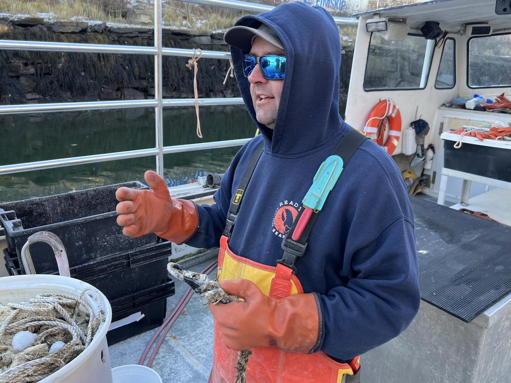 Curt Brown contends the lobster industry already has adopted safer fishing methods to protect right whales.