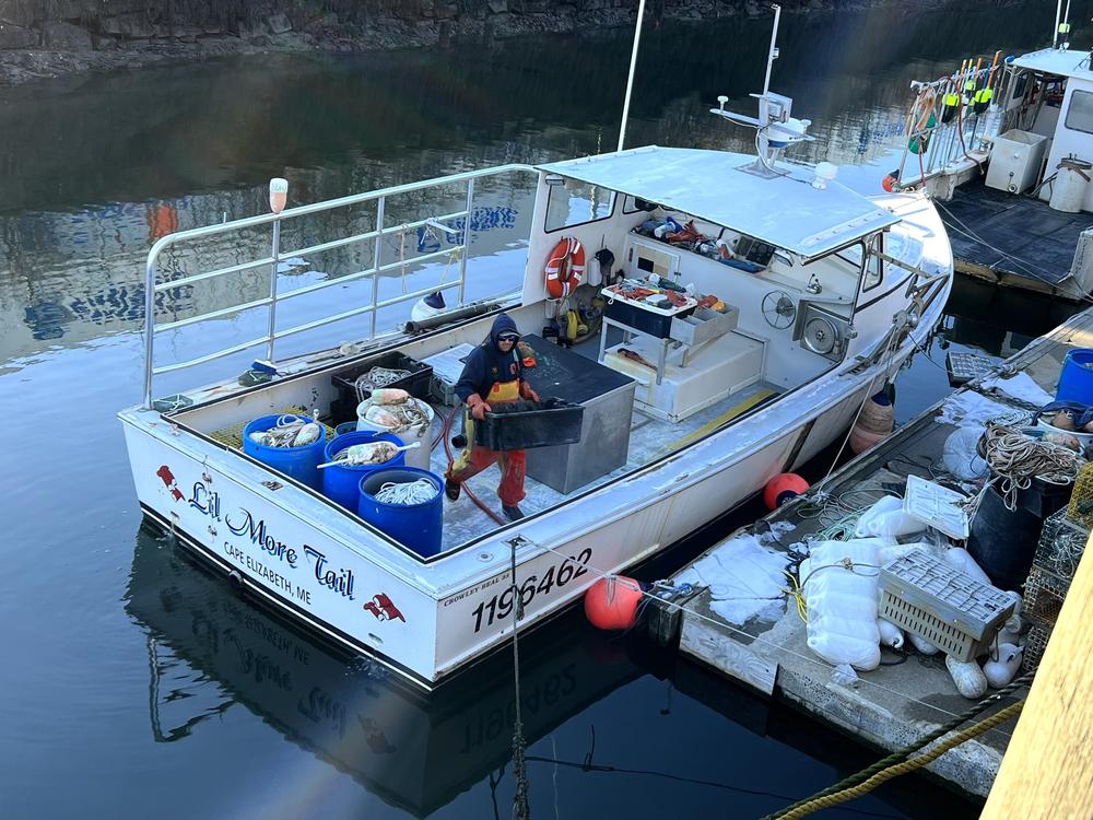The lobster fishing industry in Maine caught more than 100 million pounds of the crustaceans in 2021 valued at more than $725 million.