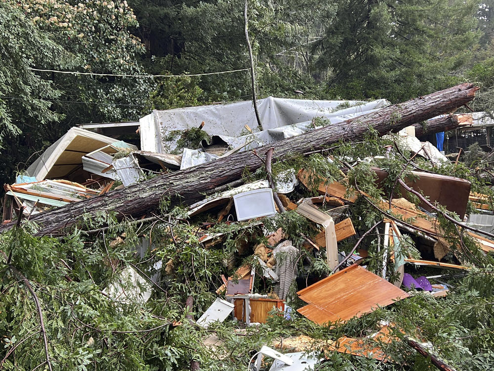 A fallen redwood tree rests on a mobile home where 2-year-old Aeon Tocchini was killed in Occidental, California.