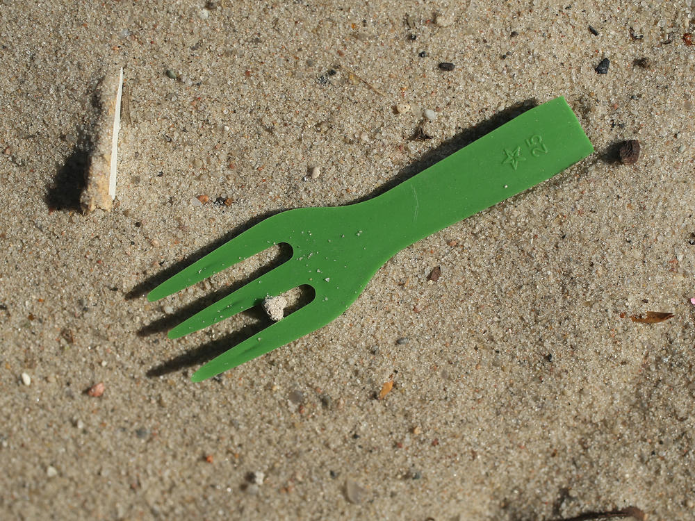 The British government is set to announce the full details of the single-use plastics ban on Saturday.