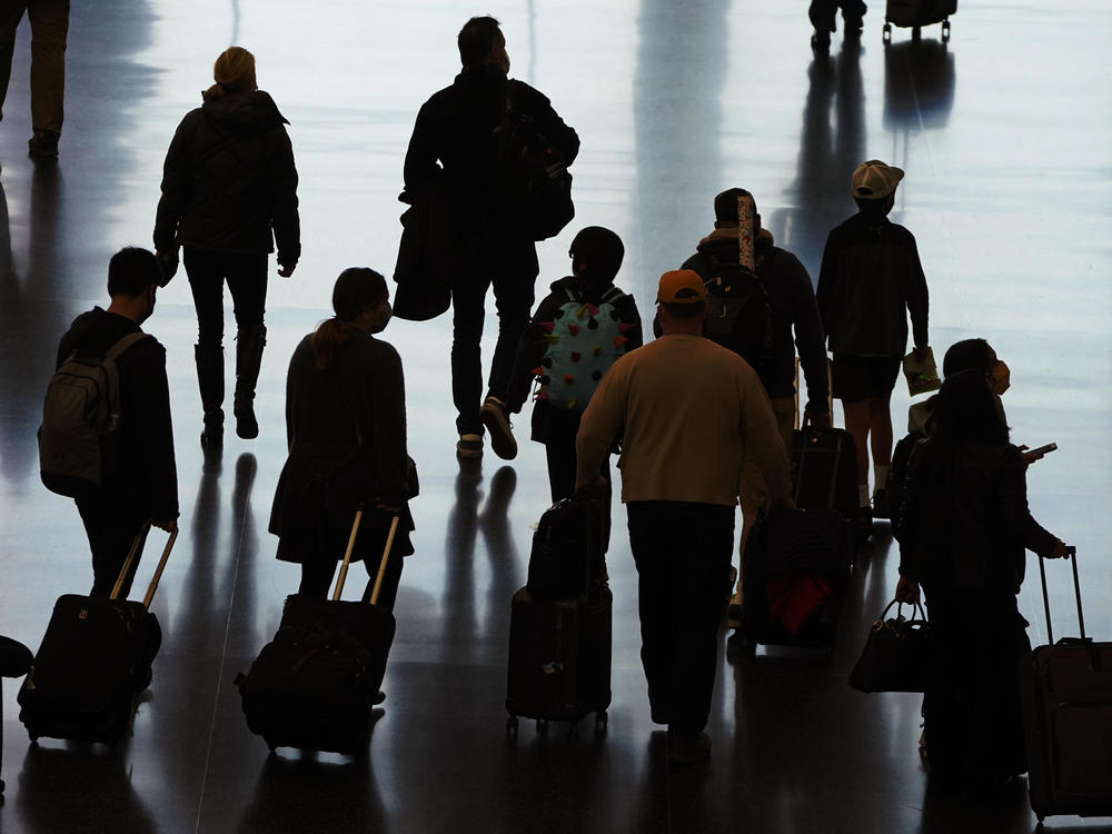 In hopes of getting a better sense of which SARS-CoV-2 variants might be coming into the U.S., the Centers for Disease Control and Prevention recently expanded its voluntary testing of some passengers exiting from international flights at certain airports.