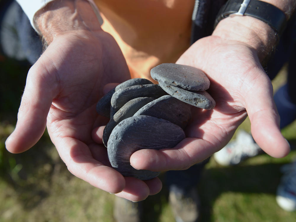 Flat, light rocks like the ones pictured above are favored for skipping stones A new study has found that heavier rocks can also skim the water's surface.