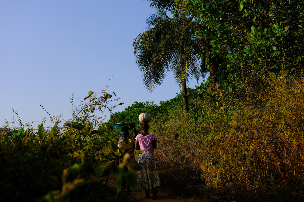 Women walk past the edge of a sacred forest of Cobiana, in northern Guinea-Bissau, on Dec. 11, 2021.