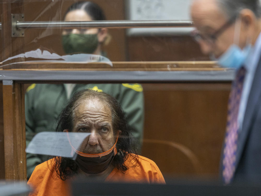 Adult film star Ron Jeremy listens as his attorney Stuart Goldfarb speaks during his arraignment on rape and sexual assault charges at Clara Shortridge Foltz Criminal Justice Center in Los Angeles on June 26, 2020.