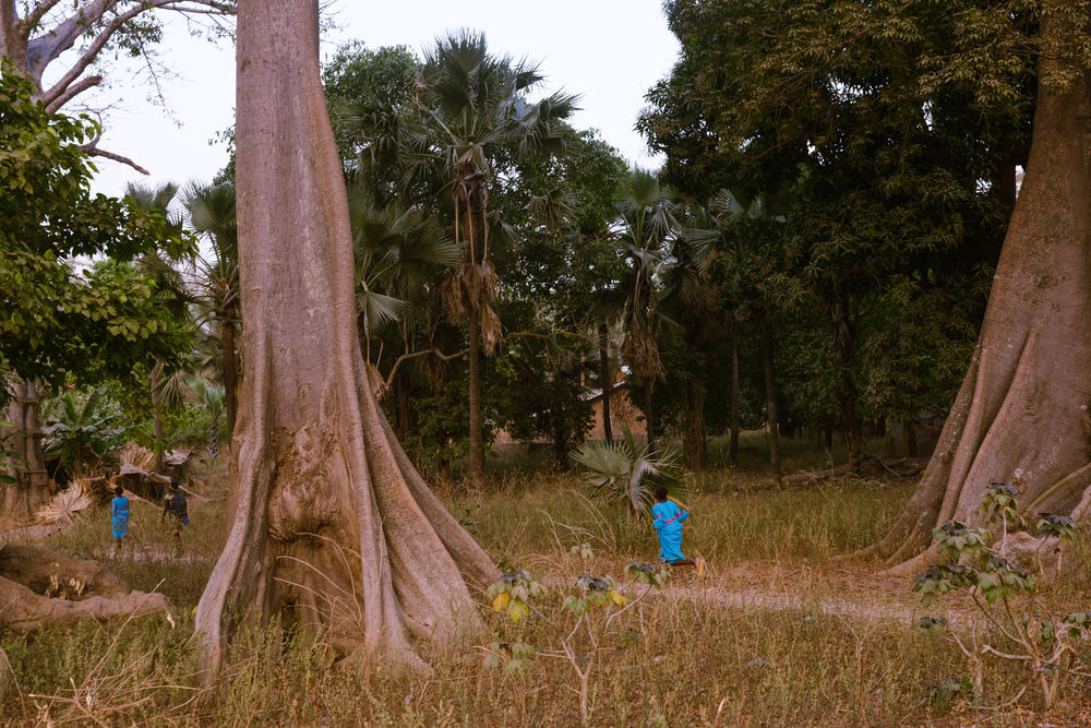 A festival to celebrate the end of the harvest season in Mlomp, Senegal, on Feb. 22, 2021.