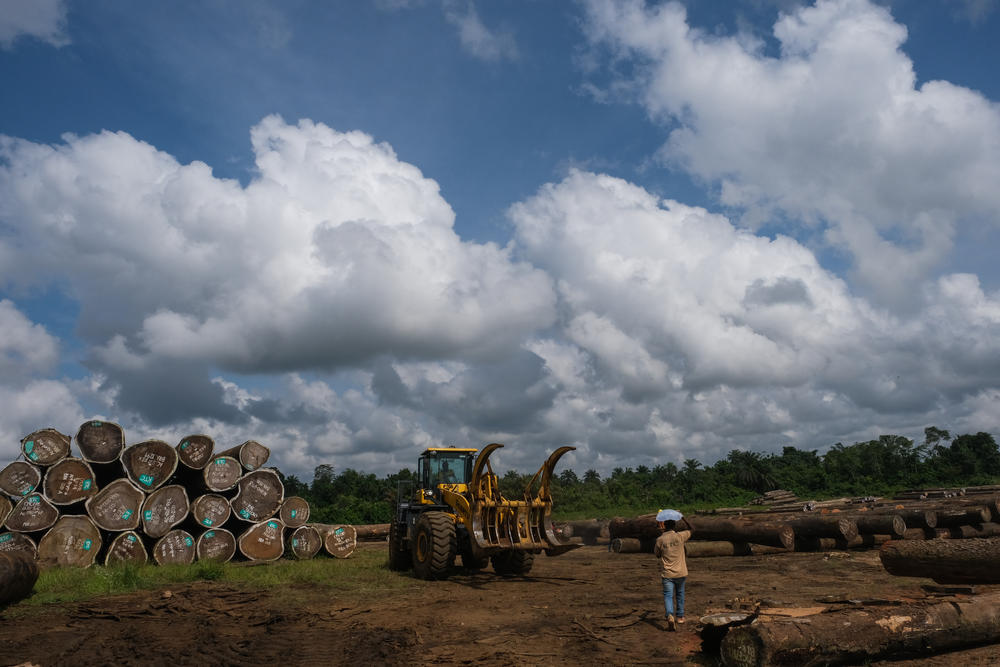 Men work at a log at a timber company in Buchanan, Liberia, on Nov. 18, 2022.