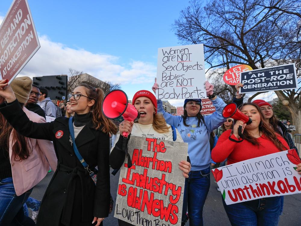 Protesters at the March for Life on Jan. 20, 2023, in Washington D.C.