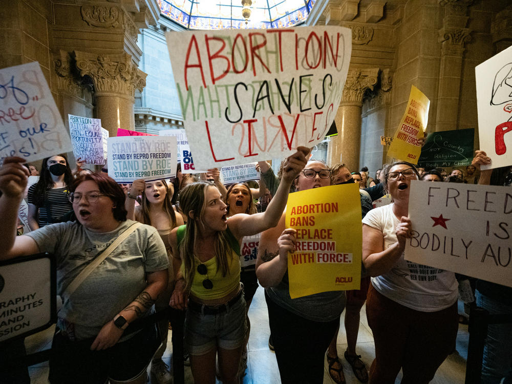 Abortion-rights protesters shout into the Senate chamber in the Indiana Capitol on July 25, 2022, about a month after <em>Roe </em>was overturned, in Indianapolis.