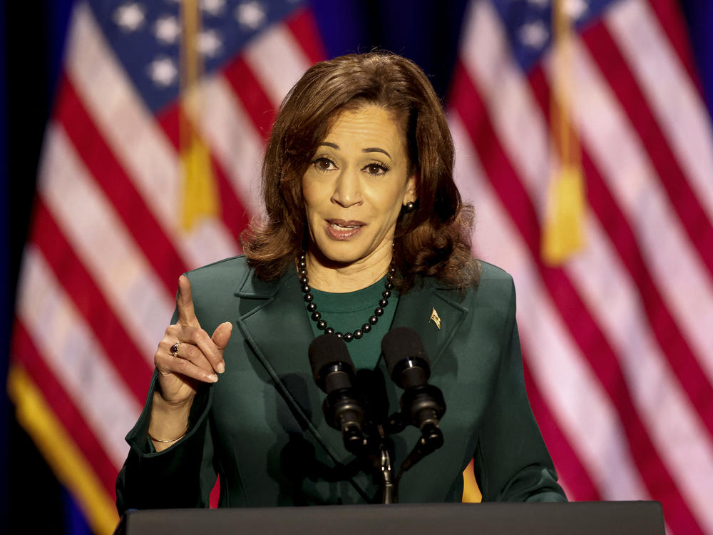 Vice President Kamala Harris speaks to mark the 50th anniversary of the 1973 US Supreme Court Roe v. Wade decision, in Tallahassee, Fla., on Saturday.