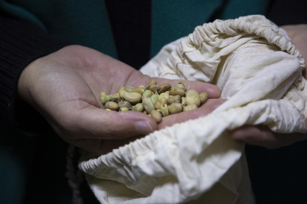 Mariana Yazbek holds fava beans that are packed inside bags in the large freezer room where the seeds are stored at the ICARDA research station, Dec. 21, 2022.