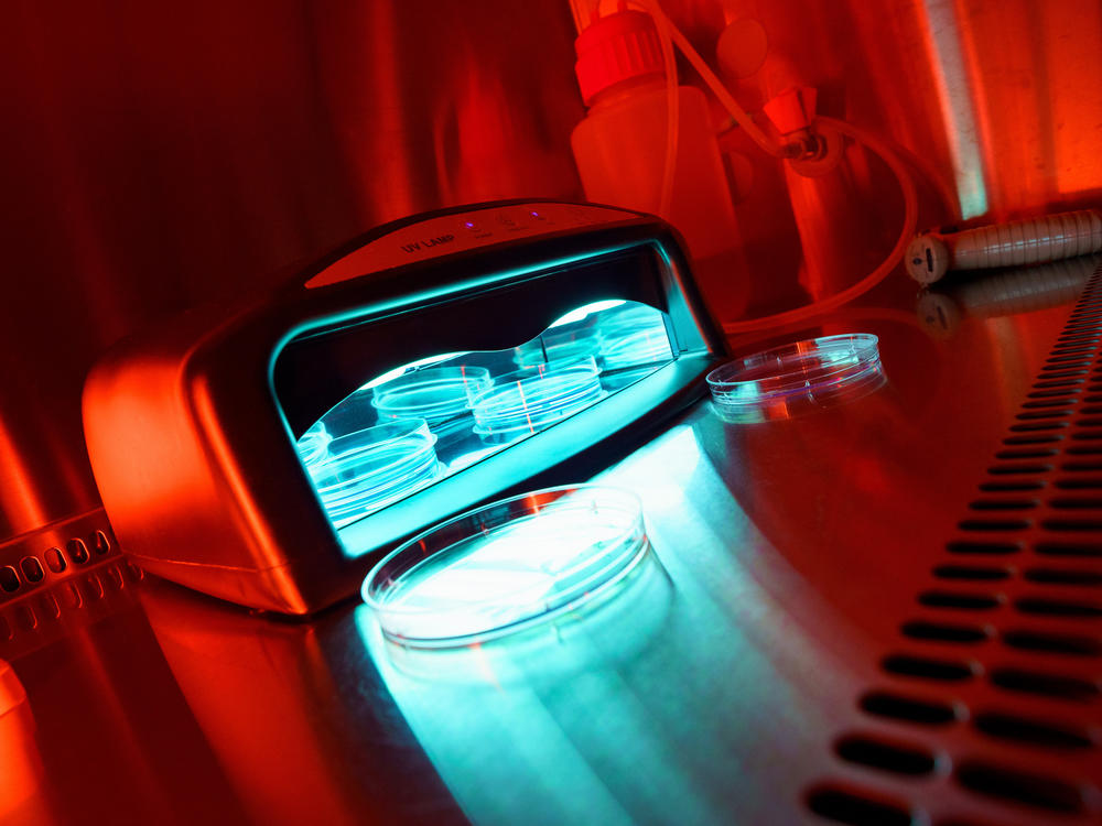 The study found that a single 20-minute session resulted in 20-30% cell death, while three consecutive sessions caused 65-70% of the exposed cells to die.