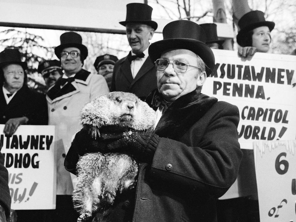 Jim Means holds up a sleepy Punxsutawney Phil at daybreak on Feb. 2, 1980. The groundhog's 